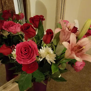 Meet your Posher, Sandra